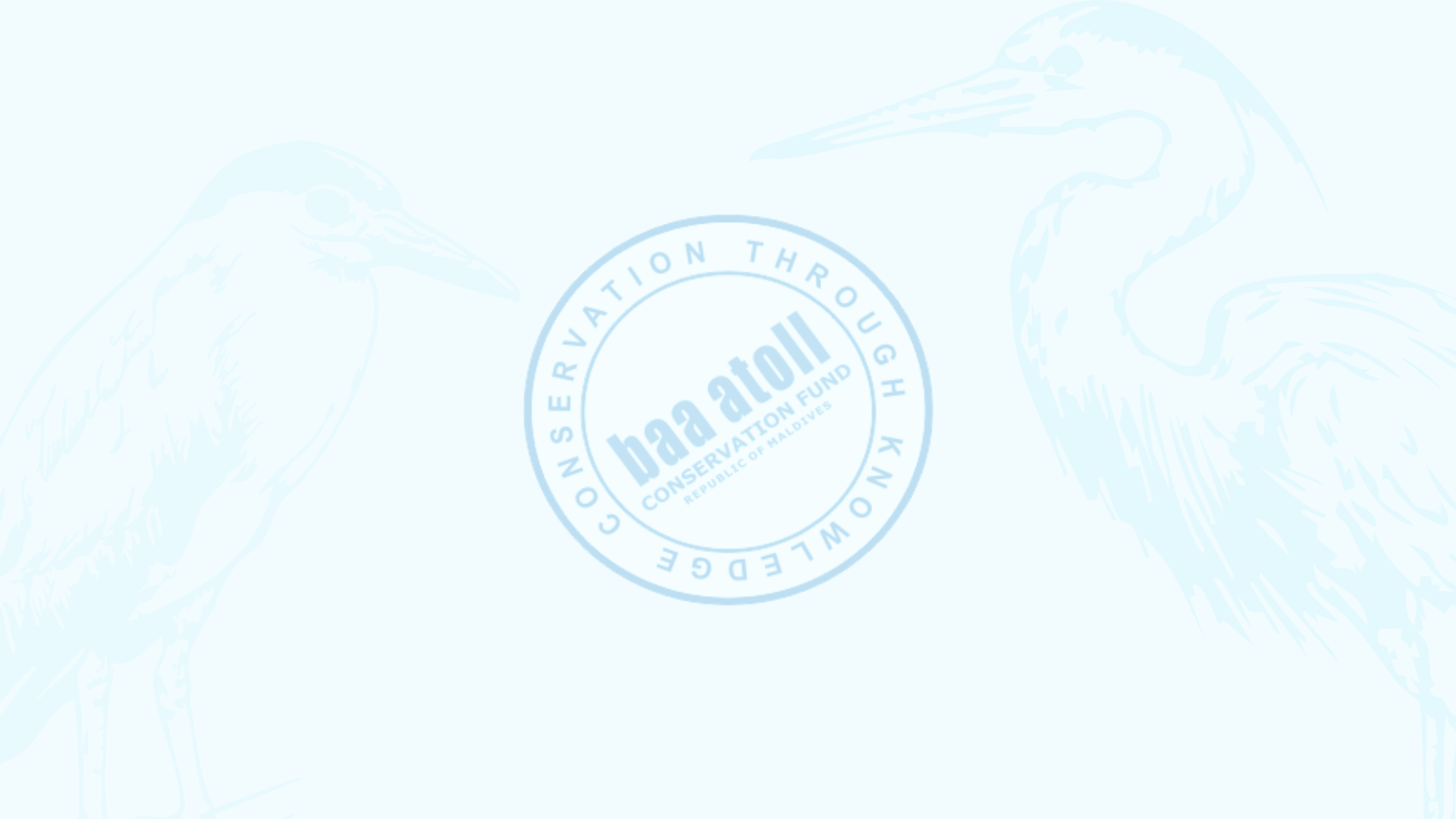 numquam quis maxime maxime